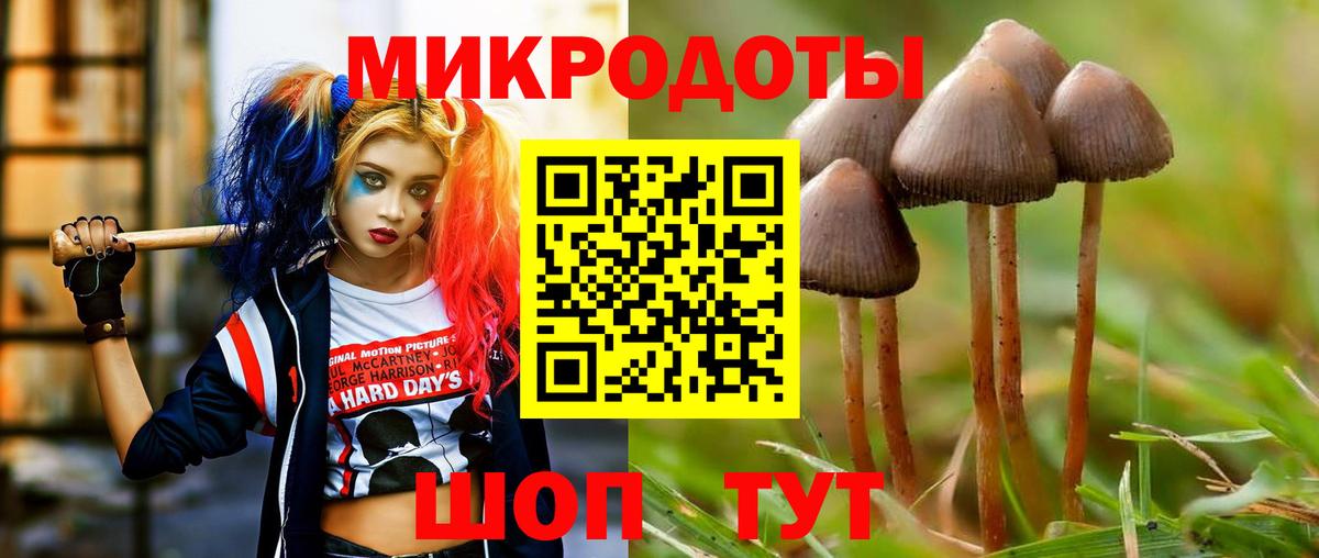 Псилоцибиновые грибы Psilocybine cubensis  Псилоцибиновые грибы мицелий  Ноябрьск  Вход с VPN 