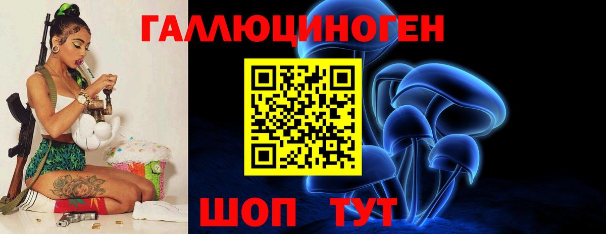 Галлюциногенные грибы Psilocybine cubensis Ноябрьск