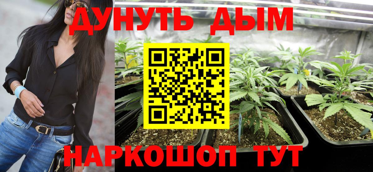 Бошки Шишки семена Ноябрьск